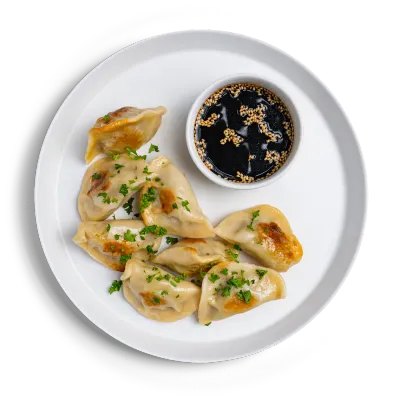 Fried Beef Dumplings