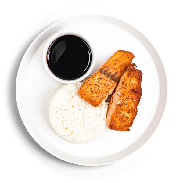 Salmon Steak & Rice